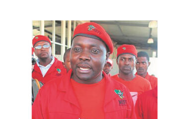 EFF sympathizes with us the way Swapo sympsthizes with former liberation movements: Iipumbu
