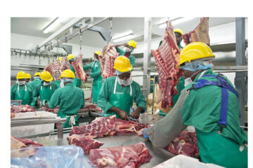 Meatco reports N$258 million loss