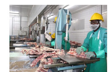 Meatco’s abattoirs impacted by a decline in cattle