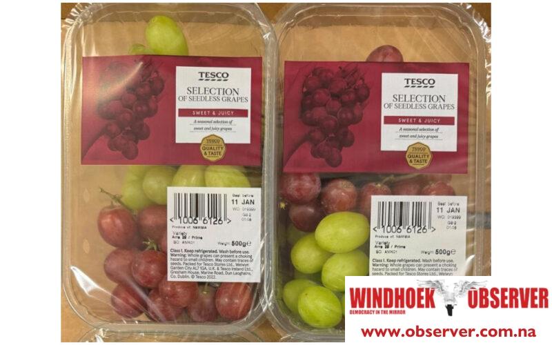 Namibian grapes hit European shelves
