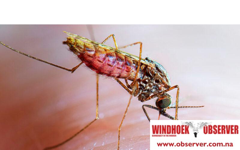 Malaria epidemic alert registered in Namibia