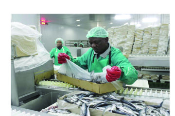 Exports to African markets reached N$5.1 billion