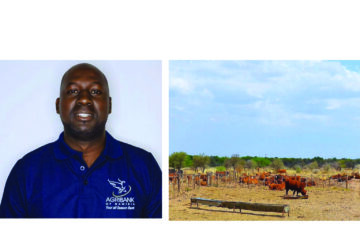 The basics: Preparing for the rainy season