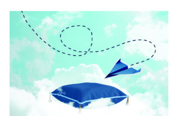 YOUNG OBSERVER | The art of the soft landing