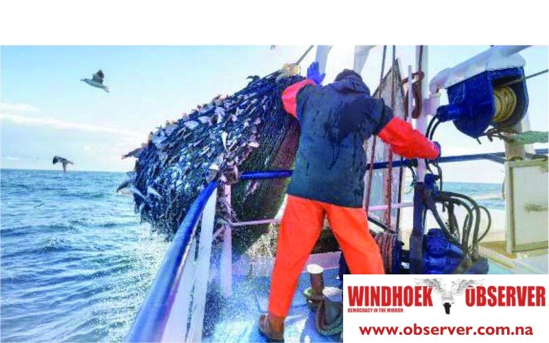 Oceana’s horse mackerel catch disappoints