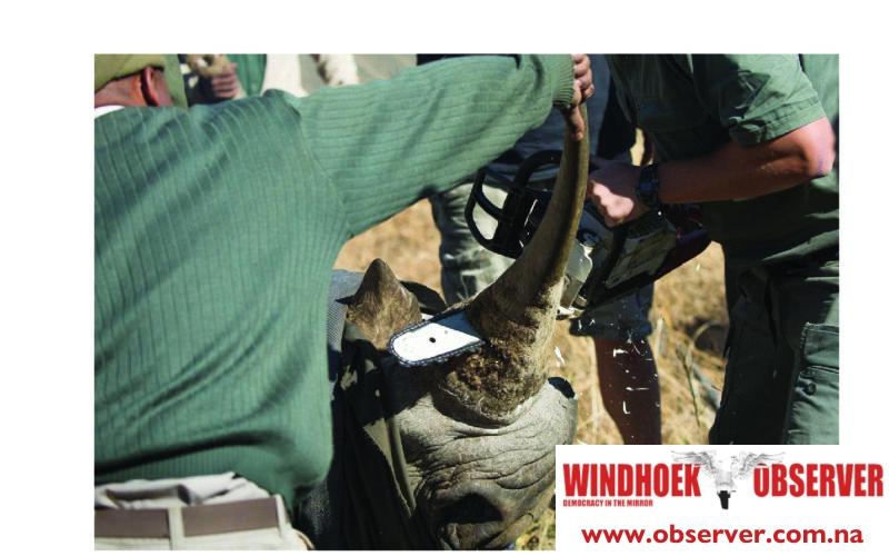 NAPHA says blocked rhino horn bid undercuts community conservation