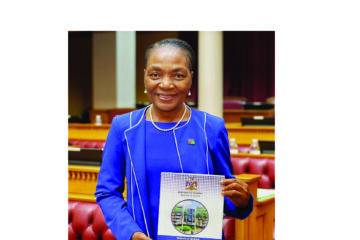 YOUNG OBSERVER | The N$100 billion conversation