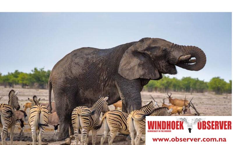 Tourism registers steady growth