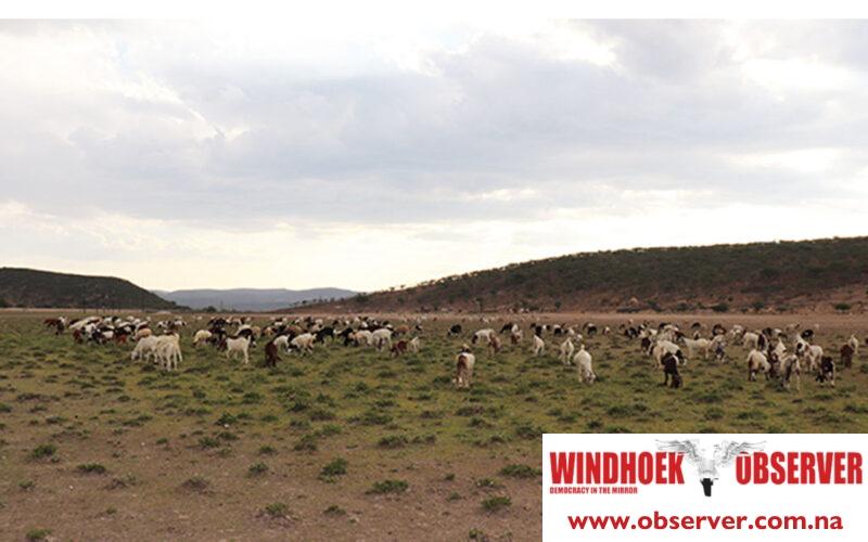 Agriculture ministry to recognise and register farms in Kunene region