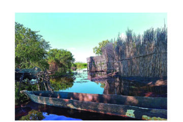 Communities fear flooding as Zambezi river rises