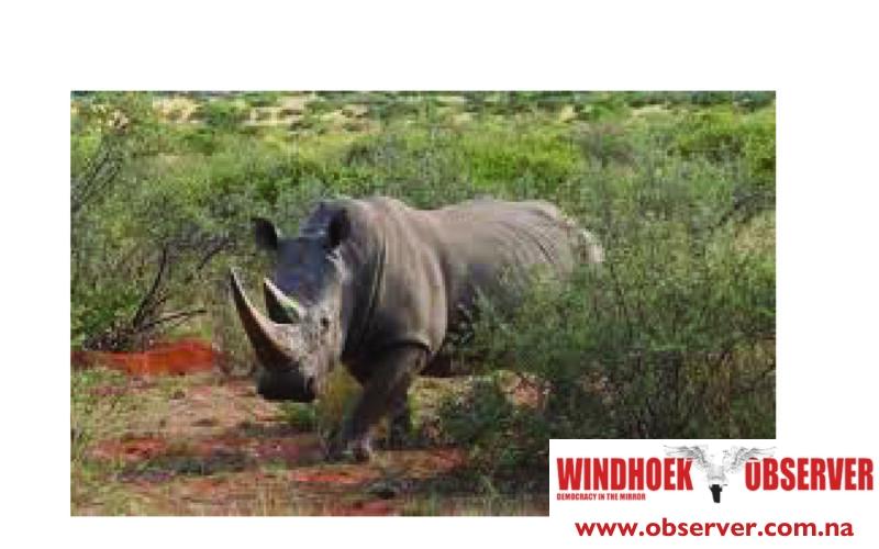 Hunting body denies blocking global participation