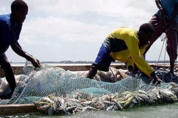 YOUNG OBSERVER | Zambezi youth turn floods into income