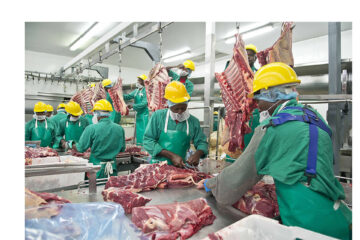 Govt left in the dark as Meatco turmoil deepens