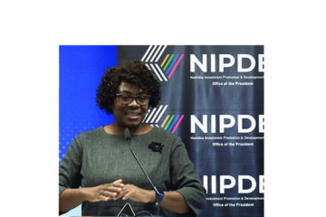 Economist questions need for NIPDB 