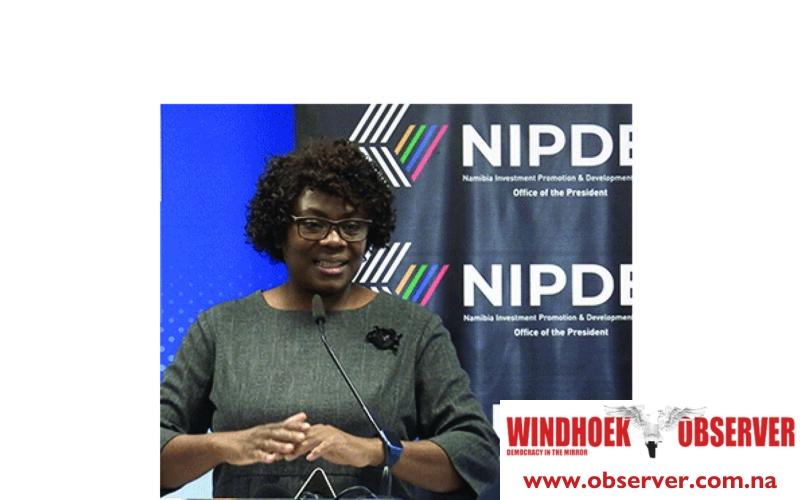 Economist questions need for NIPDB