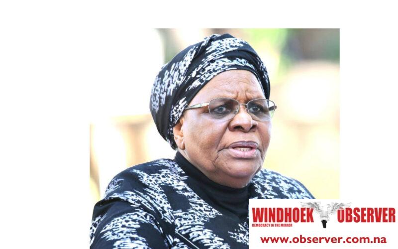 Nandi-Ndaitwah calls for closer public, private partnership