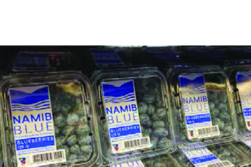 Namibia Berries plans N$1.5bn expansion over seven years