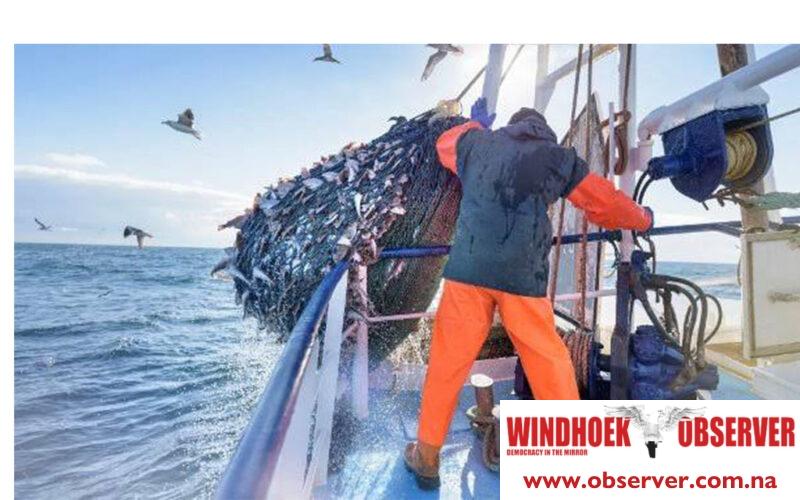 Oceana’s Namibian performance declines 14% due to catch costs