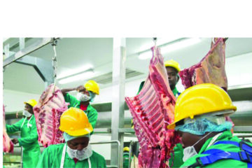 Rising agriculture output set to boost meat processing