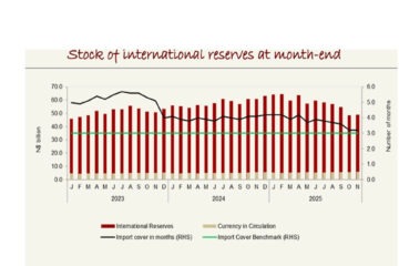 Foreign reserves improve despite slow credit growth