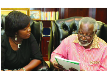 Woman builds platform to document Namibian inspiration