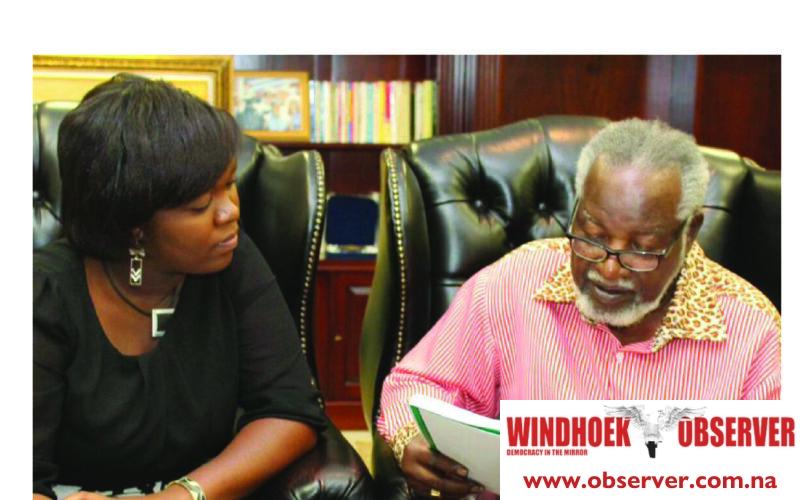 Woman builds platform to document Namibian inspiration