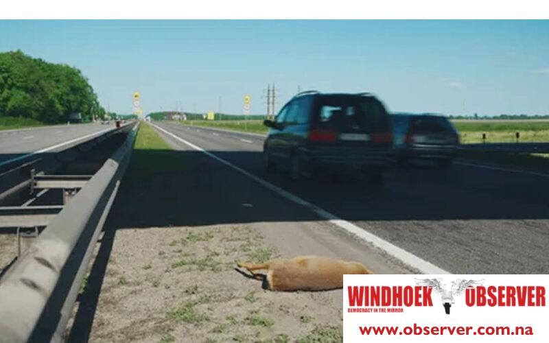 MP pushes for N$100 000 fine on farmers neglecting road safety