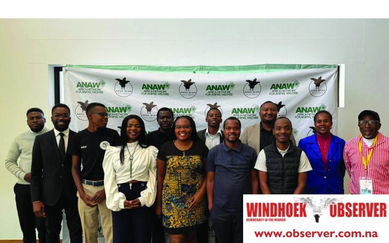 Experts warn of health risks in caged chicken farming