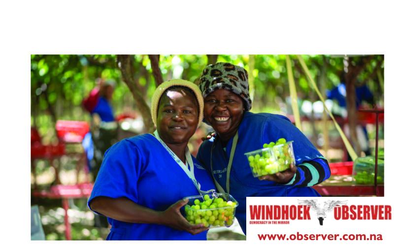 Nedbank funds the expansion of Aussenkehr vineyards