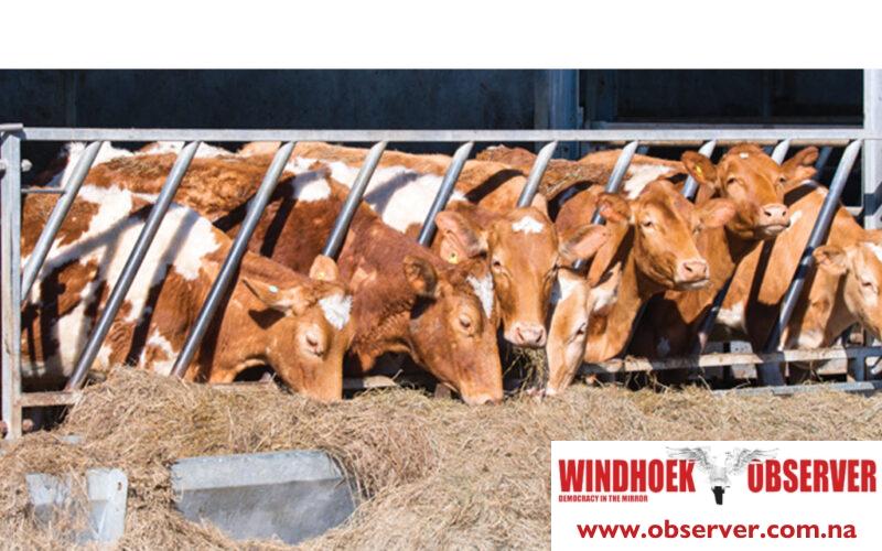 NamLITS service interruption scheduled for August