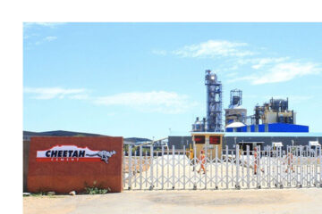 Cheetah Cement sidelines workers on Ohorongo merger