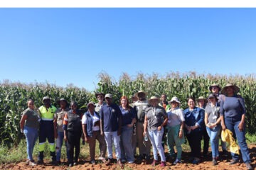 Agriculture, forestry, fishing expected to recover