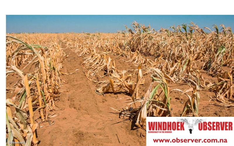 Japan and Malaysia enhance Namibia’s drought relief efforts