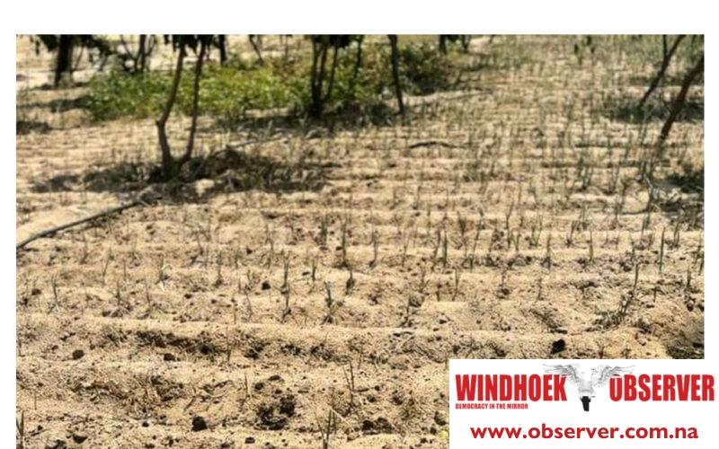 Outdated infrastructure blamed for water shortages – Windhoek Observer