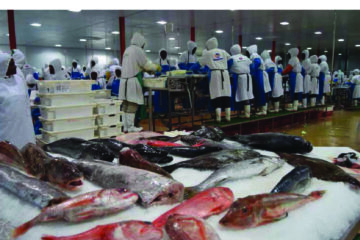 EAN warns economic growth will not translate into jobs