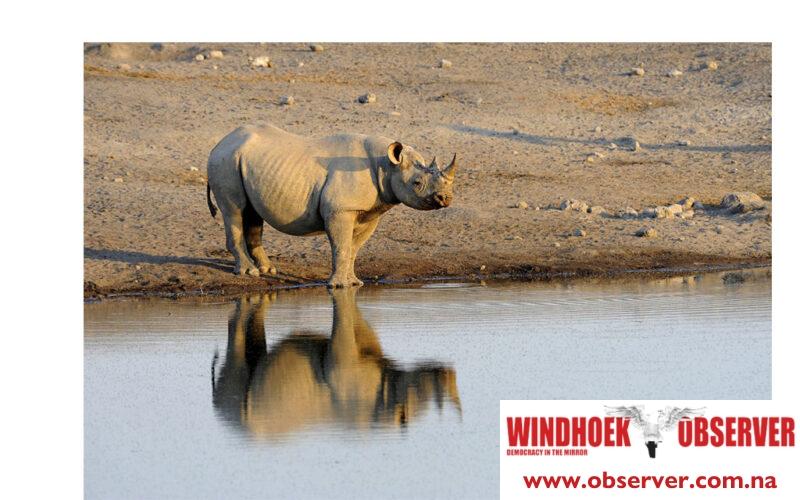 MEFT outlaws drones in Etosha