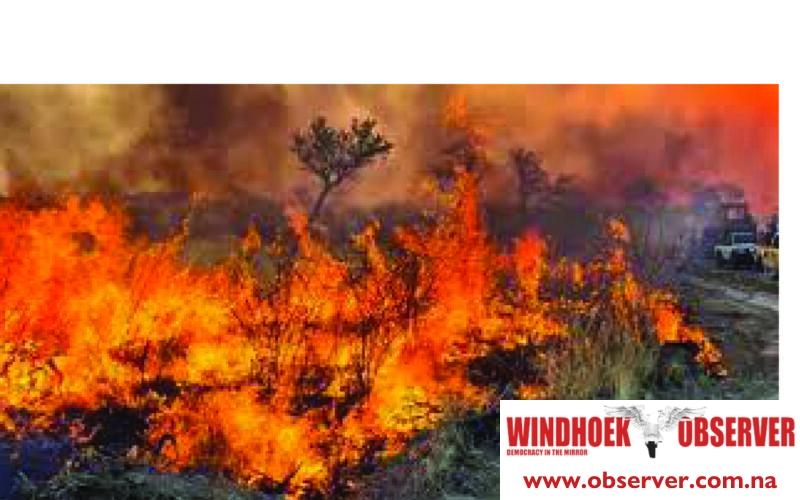 Charcoal activities suspected in Etosha wildfire