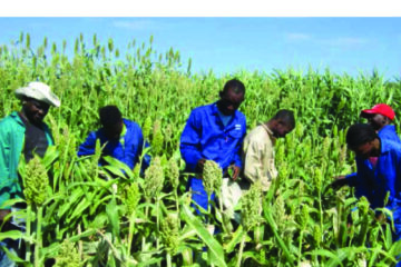 Farmers unhappy over wage rules on fringe benefits