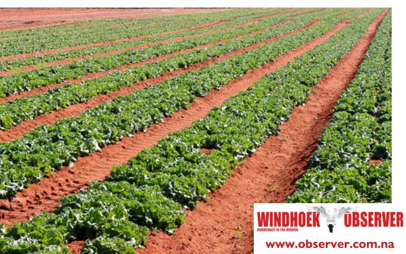 Agriculture ministry sets aside N$62 million to transform farming