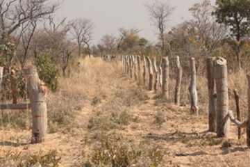 Illegal fence removal in Ohangwena to cost N$500 000