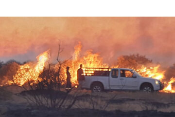 Namibia should brace for intense wildfire season