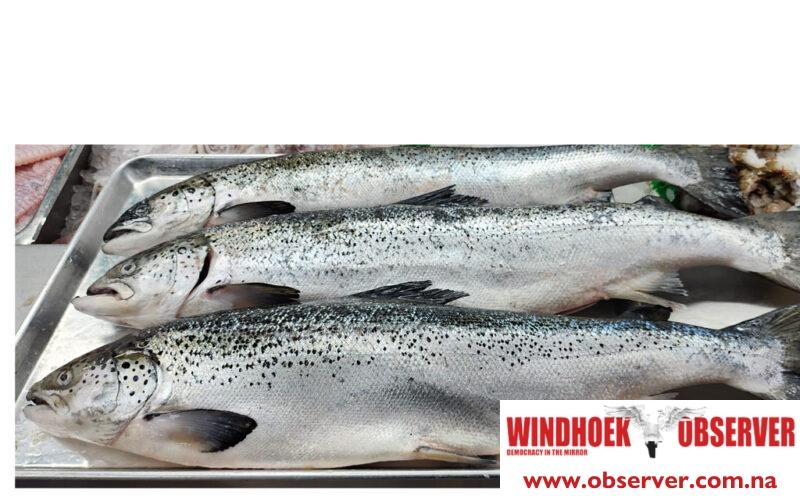 Proposed salmon farming project moves forward