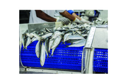 Namibia yet to ratify WTO fisheries subsidies pact