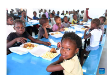 High Court reinstates school hostel food supply tender