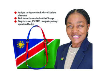 What will be inside Erica’s purse?