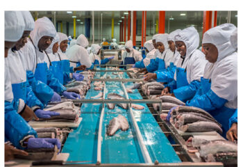 GDP rose to N$157.4 billion in Q4