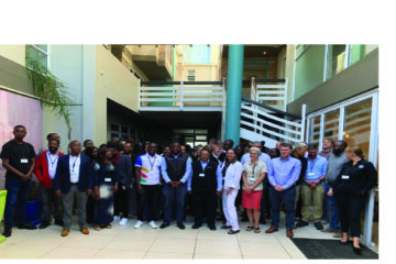 Experts warn sardine stocks need protection