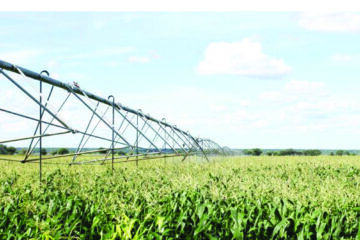 Green schemes spend 35% of revenue on electricity