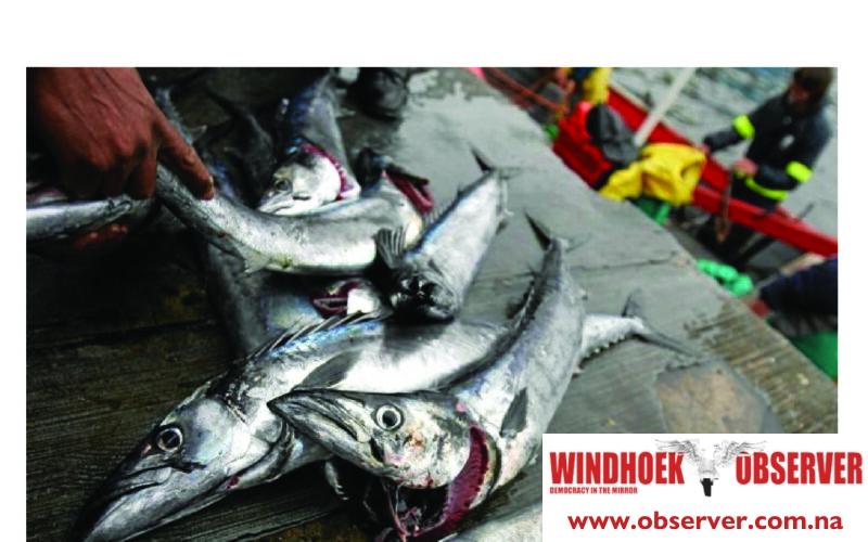 Horse mackerel sustainability worries grow