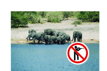 Namibia refuses to bow to global anti-hunting lobby